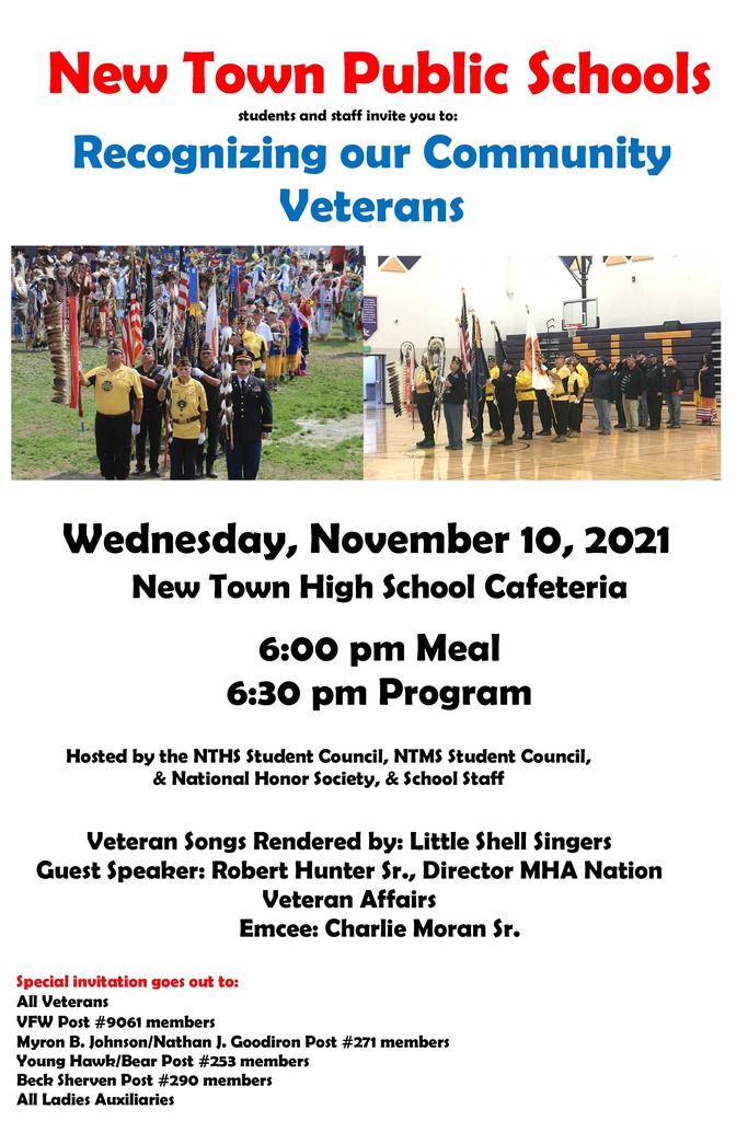 veteran's day poster